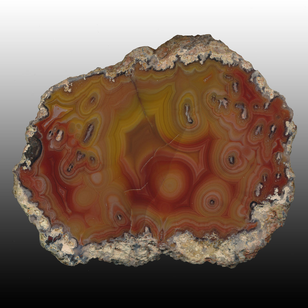 Big Laguna Arcoiris Agate specimen with great color and chromatography.  Beautiful specimen with vivid colors! Pair to AG05122