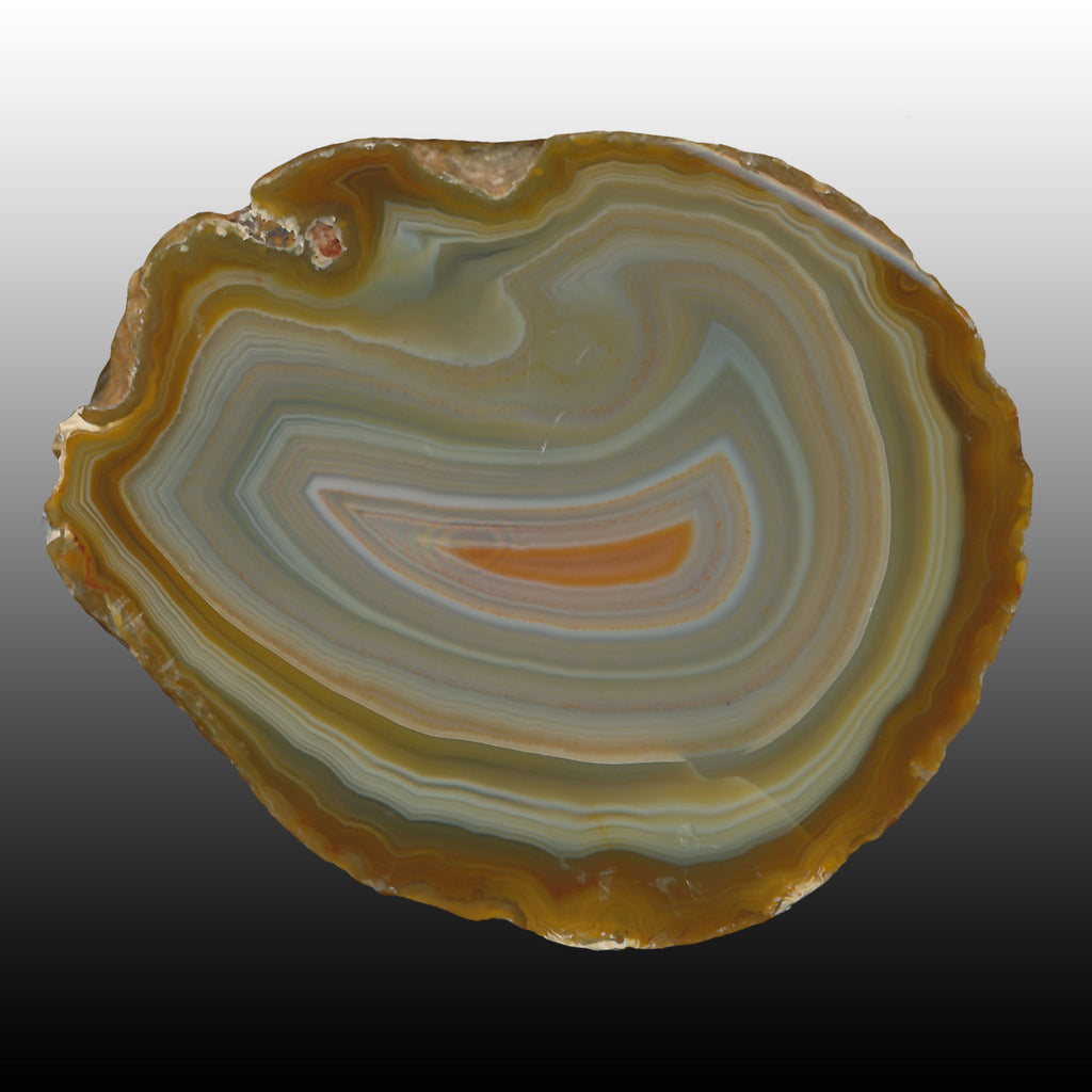 Island Agate with a contrasting orange center, open window on the back side. Pair to AG05153