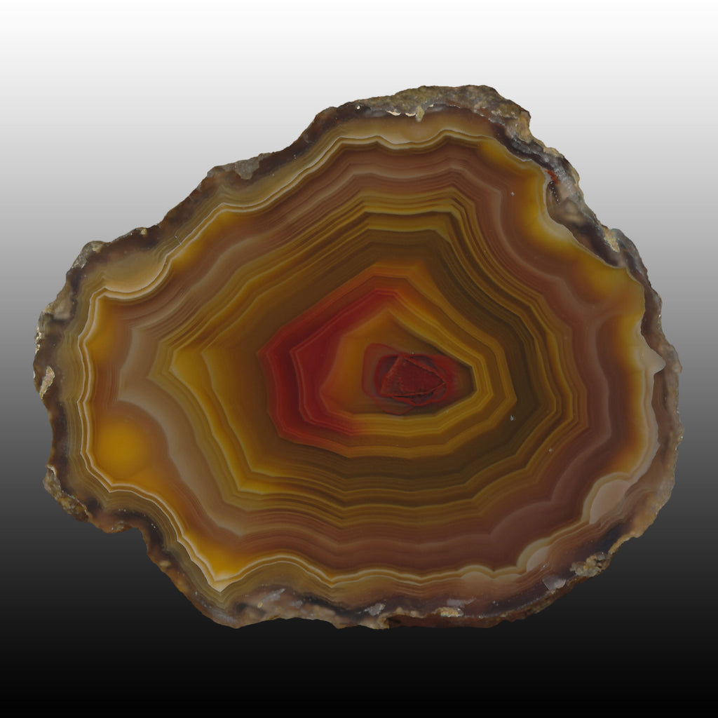 Stunning Arcoiris Laguna Agate Specimen with amazing banding and vivid chromatography. Pair to AG05150
