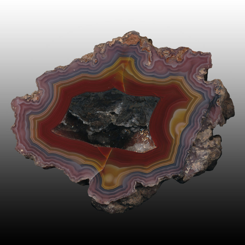 Monster old stock Laguna Agate. This piece came from an old collection that I acquired years ago. I had it for 20 years and finally decided to part with it. Amazing color combinations and size!