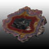 Monster old stock Laguna Agate. This piece came from an old collection that I acquired years ago. I had it for 20 years and finally decided to part with it. Amazing color combinations and size!