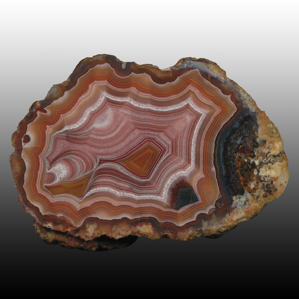Stunning Laguna Agate from the Arcoiris Deposit. This specimen shows exceptional banding and color! Pair to AG05107