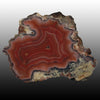 Perfect Deep Red Arcoiris Laguna Agate Specimen with shadow. Pair to AG05112