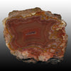 Big Red and Greenish Shadow Agate Specimen from Arcoiris Laguna Deposit. Pair to AG05117