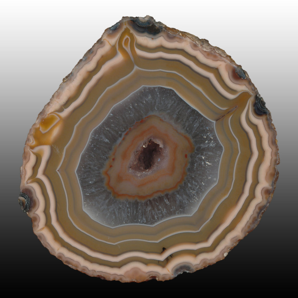 Beautiful Chinese Agate Specimen from the Beipo Middle Class mine with distinctive outer banding and a nice floater in the center