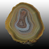 Lovely Island Agate with a floating center and many small red suspended dots thru the banding. Pair to AG05152