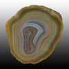 Lovely Island Agate with a floating center and many small red suspended dots thru the banding. Pair to AG05151