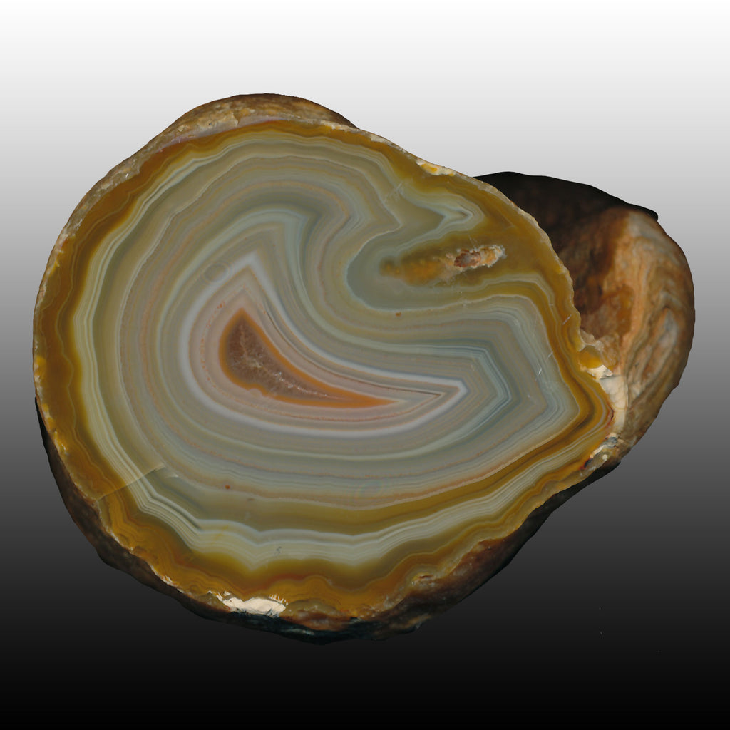 Lovely Island Agate with a floating center and many small red suspended dots thru the banding. Pair to AG05154