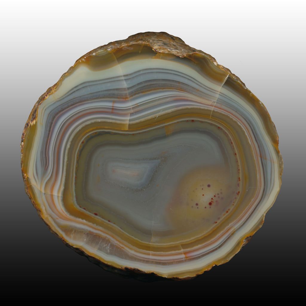 Nice multicolored banding on this big Island Agate Specimen. Pair to AG05163