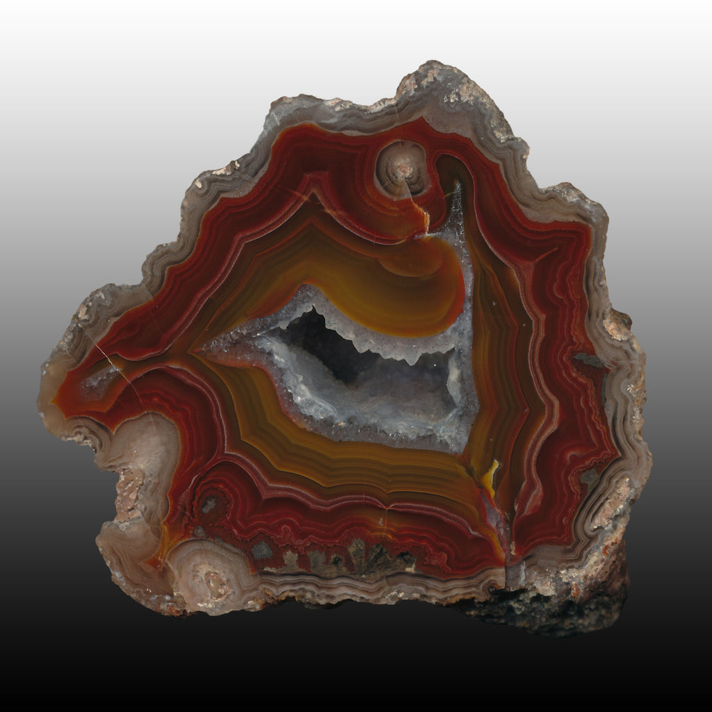 Deep red with contrasting orange center in this Arcoiris Laguna agate specimen. Pair to AG05165