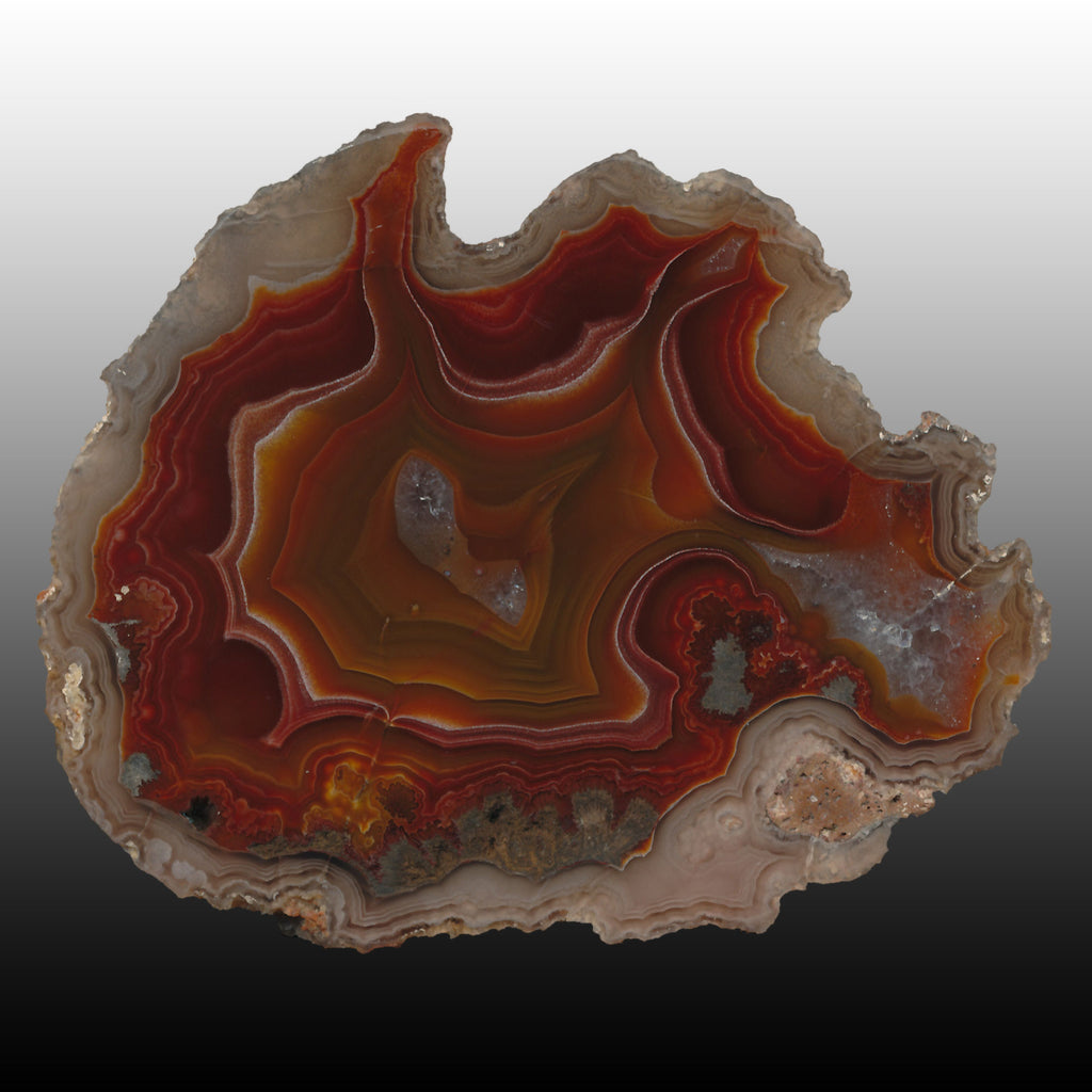 Deep red with contrasting orange center in this Arcoiris Laguna agate specimen. Pair to AG05164. Beautiful piece!