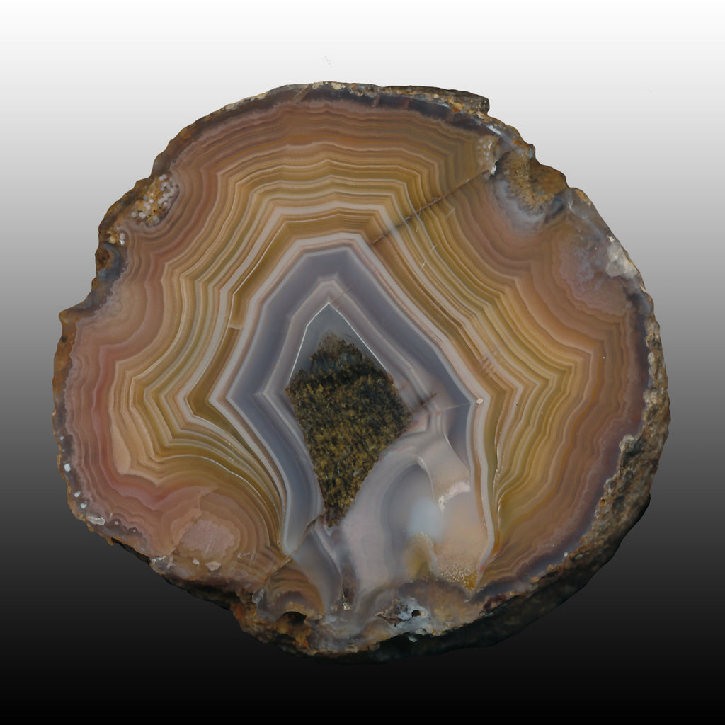Vibrant banding on this El Sueco Agate Specimen. Pair to AG05172