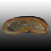 Island Agate specimen with nice contrasting red banding. Pair to AG05174